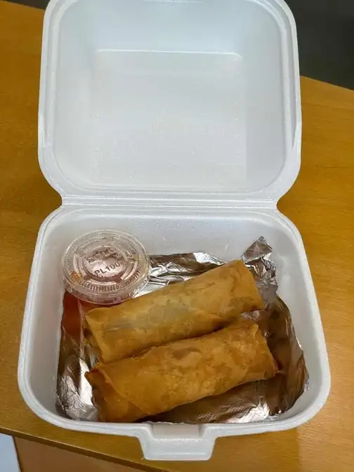 Fried Vegan Spring Roll (2).